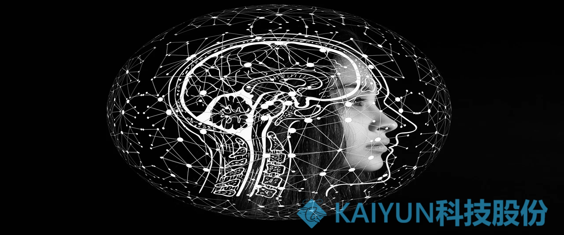 kaiyun全站官网-成功案例展示